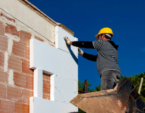 Best Cellulose Insulation in Hilton, NY