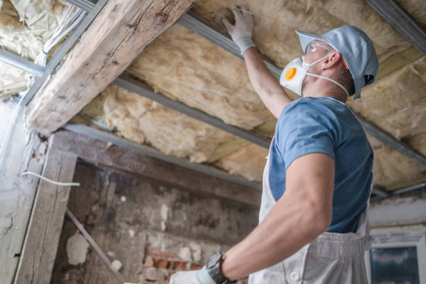 Best Spray Foam Insulation in Hilton, NY