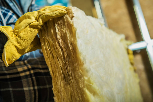 Best Geographic-Specific Insulation Services in Hilton, NY