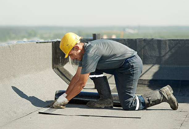 Best Insulation Maintenance and Repair in Hilton, NY